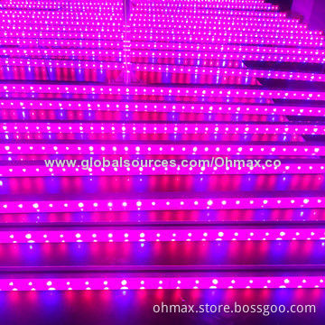 Newest LED Grow Lights, 36W, with Plant Factory Researching Planting Solution for Greenhouse/Farms